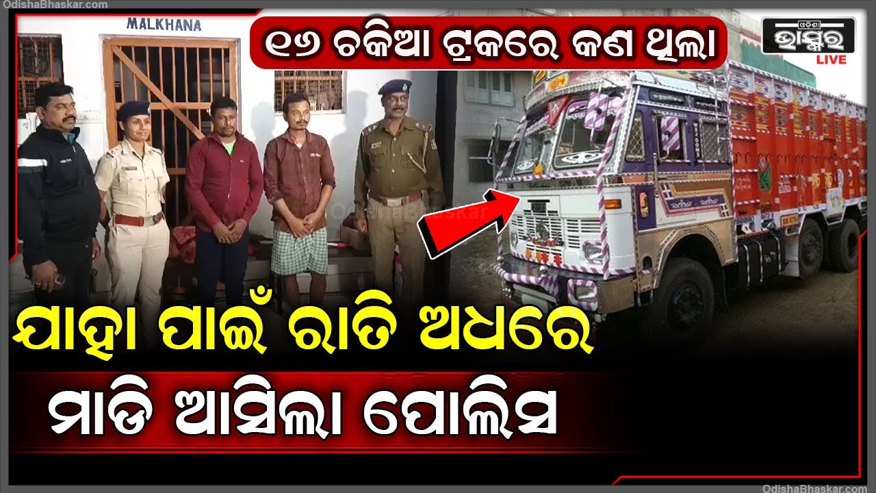 ୧୬ ଚକିଆ ଟ୍ରକରେ ବେଆଇନ ଗୋ ଚାଲାଣ ବେଳେ ମାଡି ବସିଲା ପୋଲିସ... ୩୫ ଗୋରୁ ସମେତ ୨ ଜଣକୁ ଅଟକ ରଖିଛି ଏବେ ପୋଲିସ