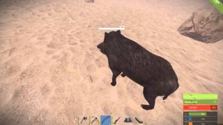 Rust Bug