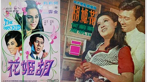 电影〈#胡姬花 /The Orchid, 1970〉（#何莉莉 #杨帆）*微调清度 - 天天要闻