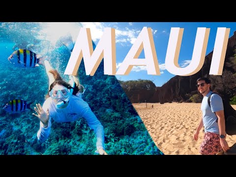 فيديو: أفضل الشواطئ في ماوي