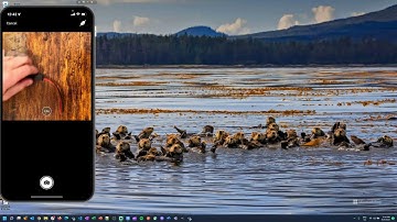 Maximo Visual Inspection Mobile - Complete Setup Guide