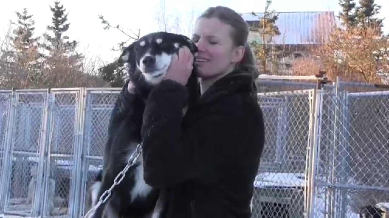Victoria Hardwick Ambitious Musher YouTube