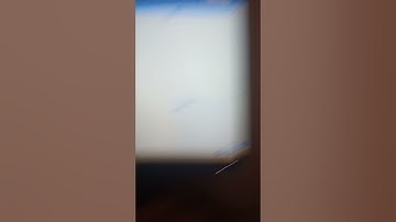 Scratch Cat Effects (Sponsored By Preview 2 Effects) (EXTENDED)