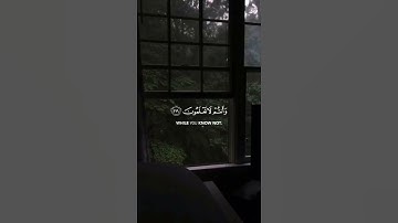 ما تيسر من سورة البقره ، بصوت مشاري العفاسي، #مشاري_العفاسي #قرآن #تلاوات