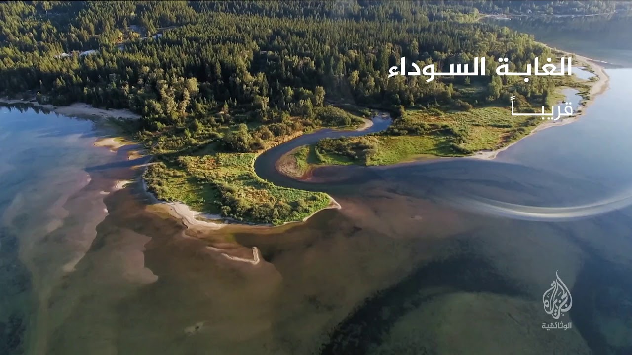 الغابة السوداء .. قريبا