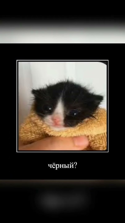 шлёпа стал чёрно белым! - YouTube