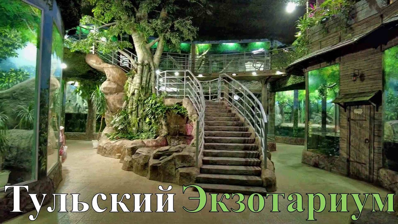 Тульский Экзотариум в Центральном Парке им.Белоусова. Tula Exotarium ...