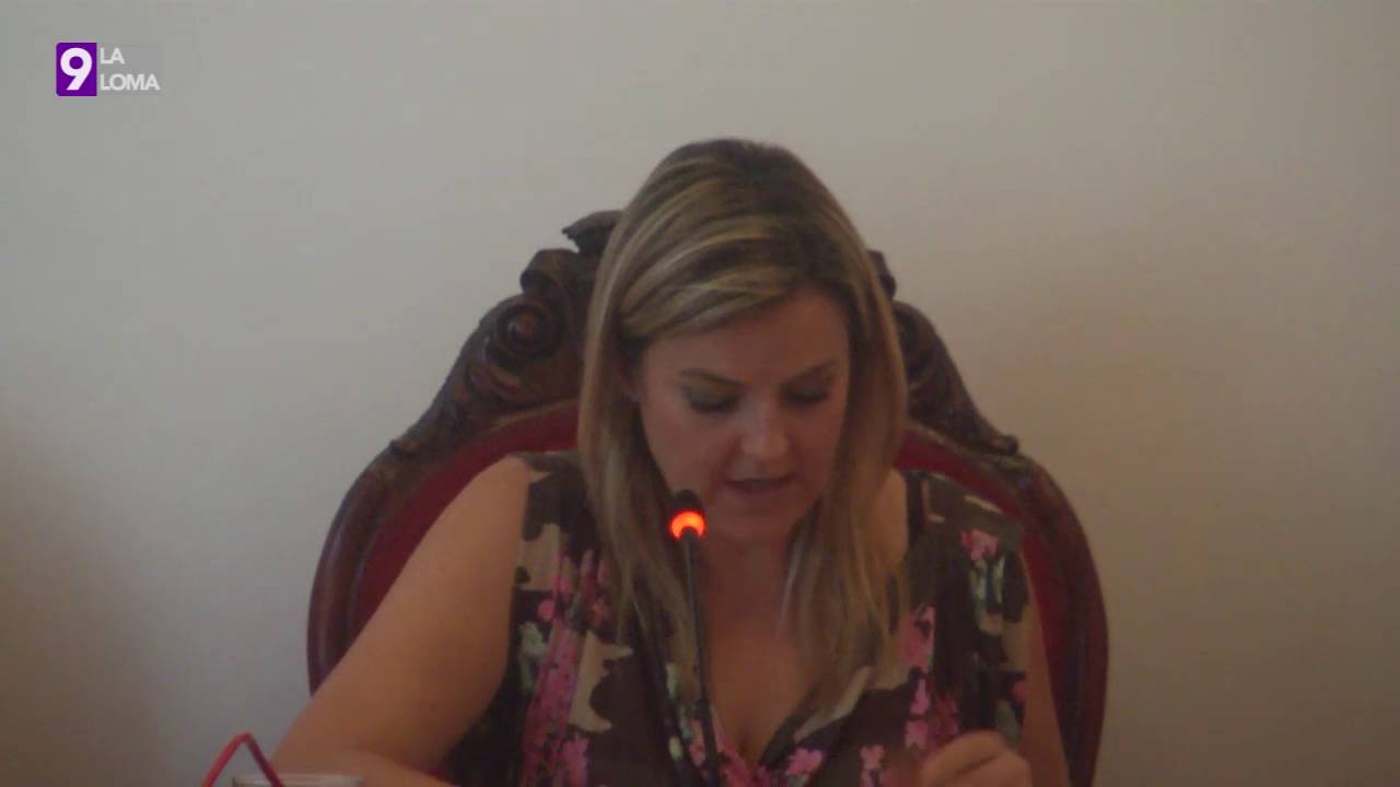 Pleno Ordinario Baeza 3.4.2016