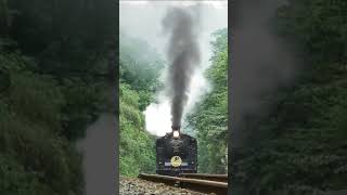 STEAM TRAIN ON THE WOOD