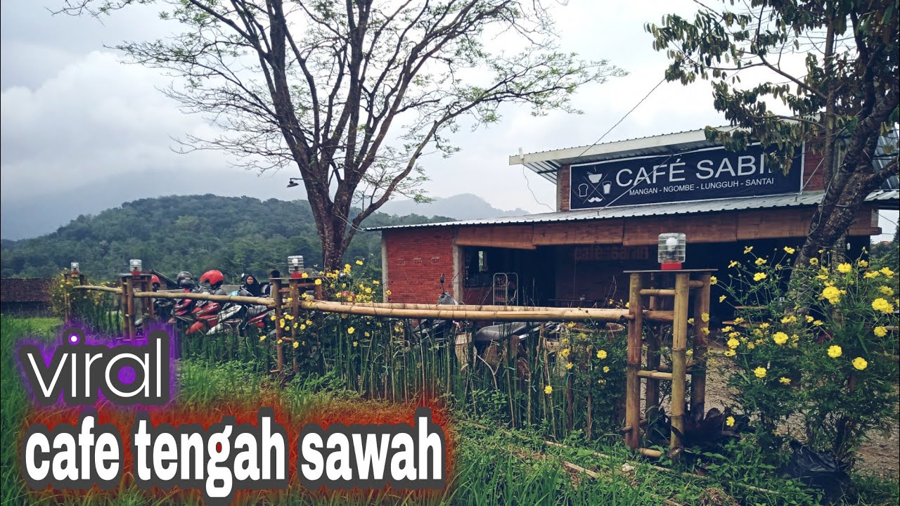 cafe sabin trawas mojokerto || cafe hits tengah sawah view gunung - YouTube
