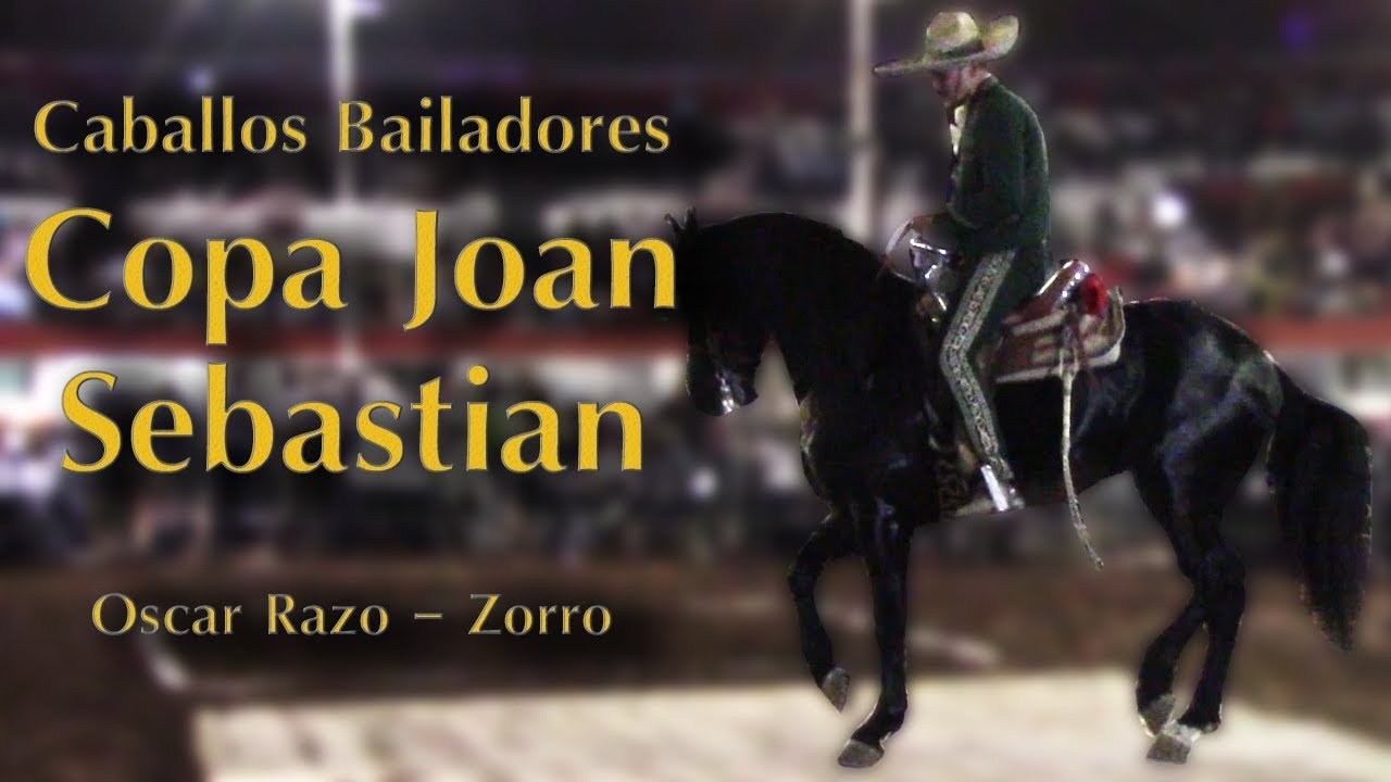 Copa Joan Sebastian | Oscar Razo - Caballo: Zorro - YouTube