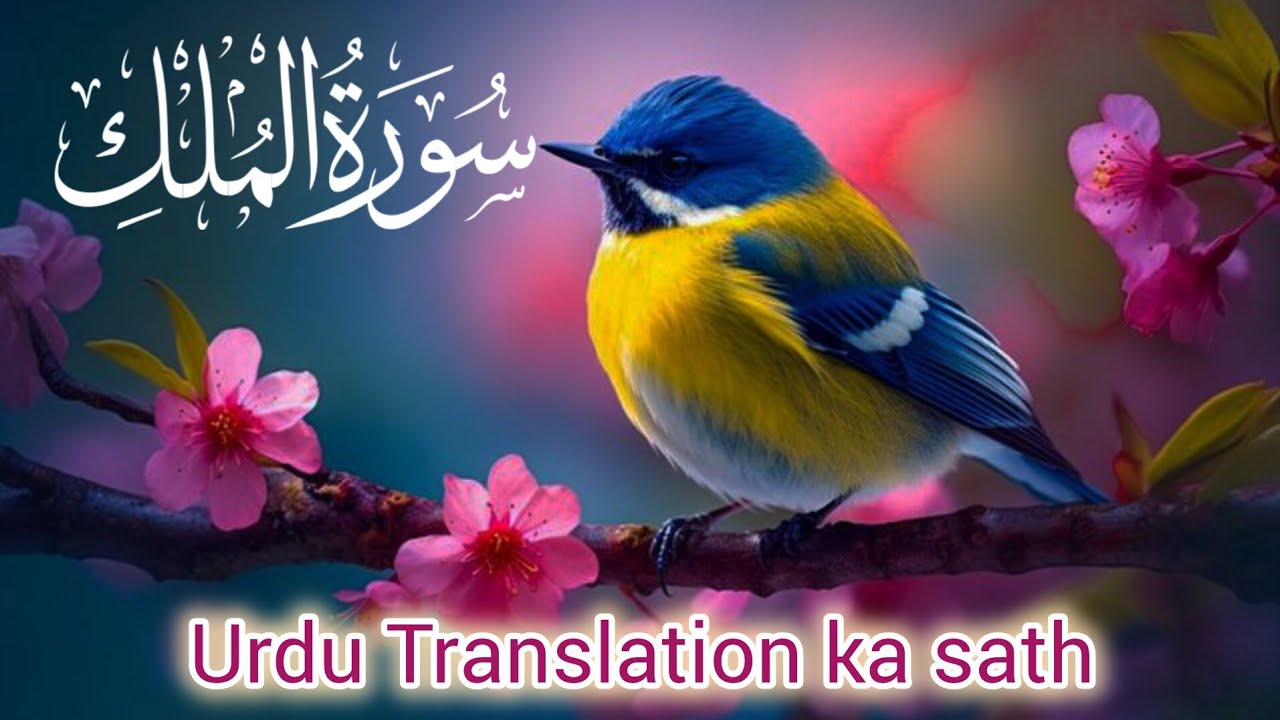 Surah Mulk Tarjuma Ke Sath Tilawat  [Awais Quran official](سورة الملك)💞 