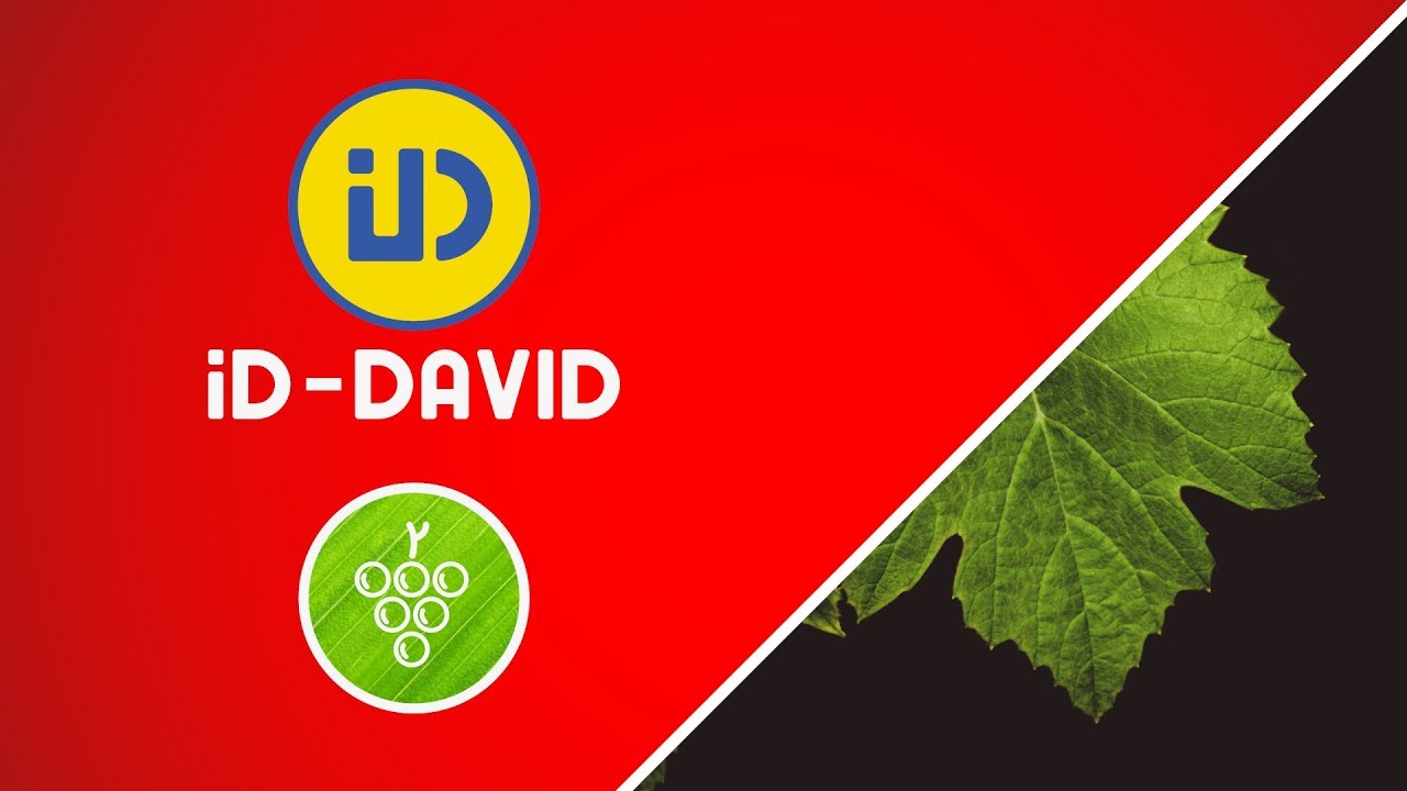 🍇🍇  Maquinaria para VIÑEDOS: Soluciones tecnológicas ID-DAVID