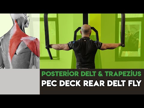 Pec Deck Rear Delt Fly - Raises ( Arka Omuz Güçlendir )