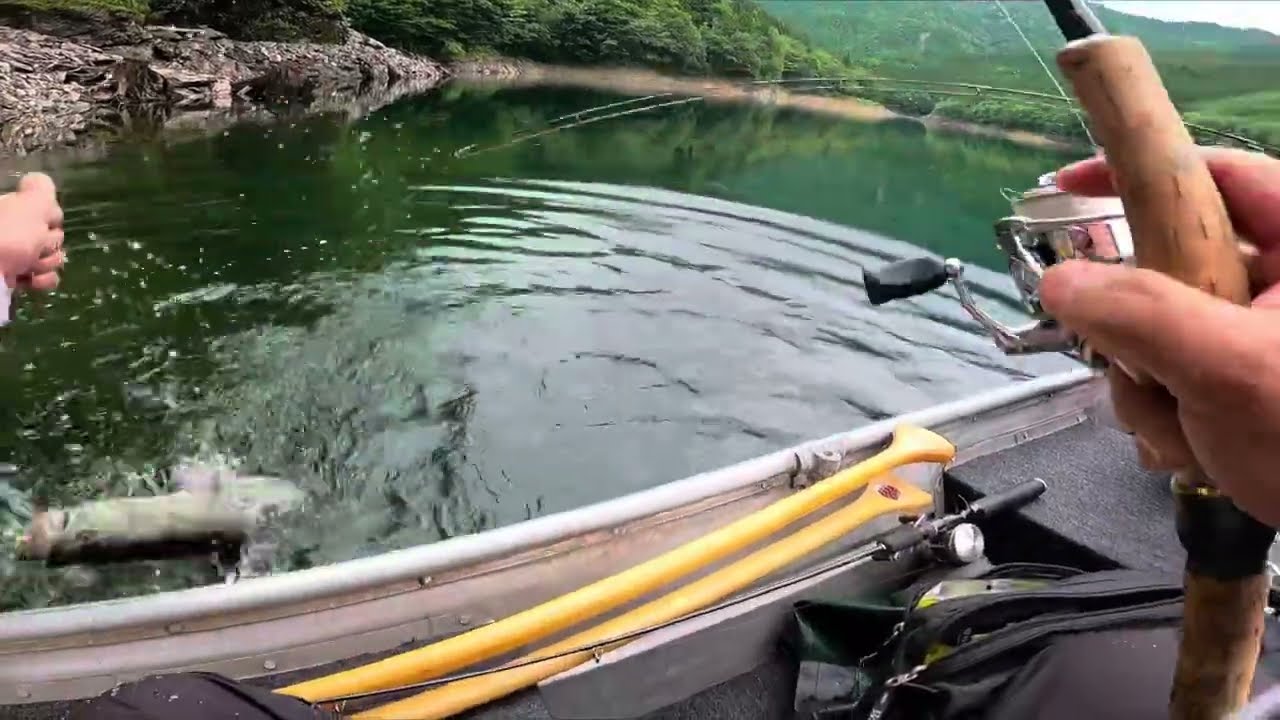 【bass fishing】振り返るとアニージャワールドの全てが詰まった釣行🥴　いつも本当に感謝しています　#バス釣り