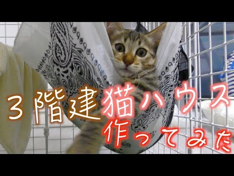 100均の商品だけで猫ハウスを作ってみた Youtube