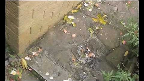 NEIGHBOURS FROM HELL 2 - AUSTRALIAN STYLE