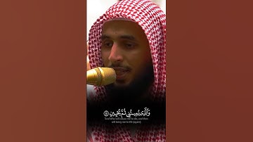 تلاوة ماتعة مترنمة لفضيلة الشيخ سلمان النفيعي حفظه الله من سورة الشعراء