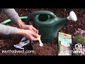 How to use root rescue transplanter