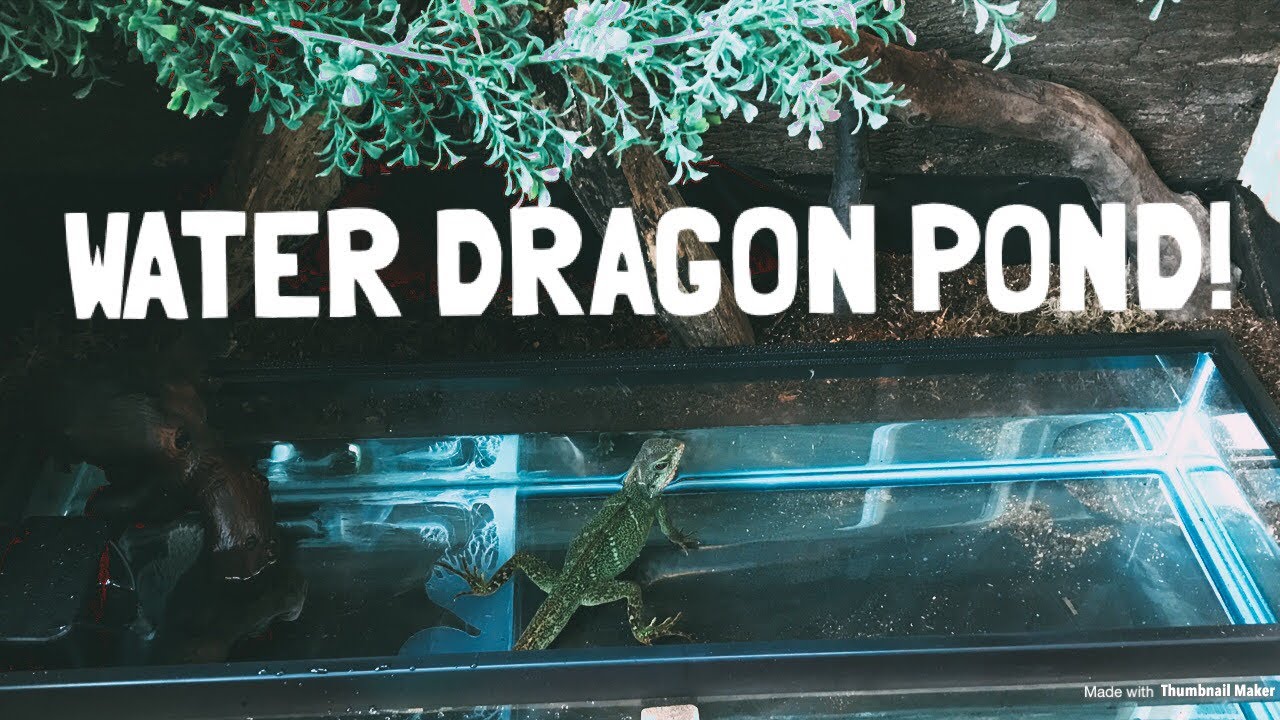 sheet bend Chinese Water Dragon, Pond Installation.