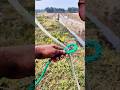 I Believe this knot is 100% secure for tying two ropes together Tightly.