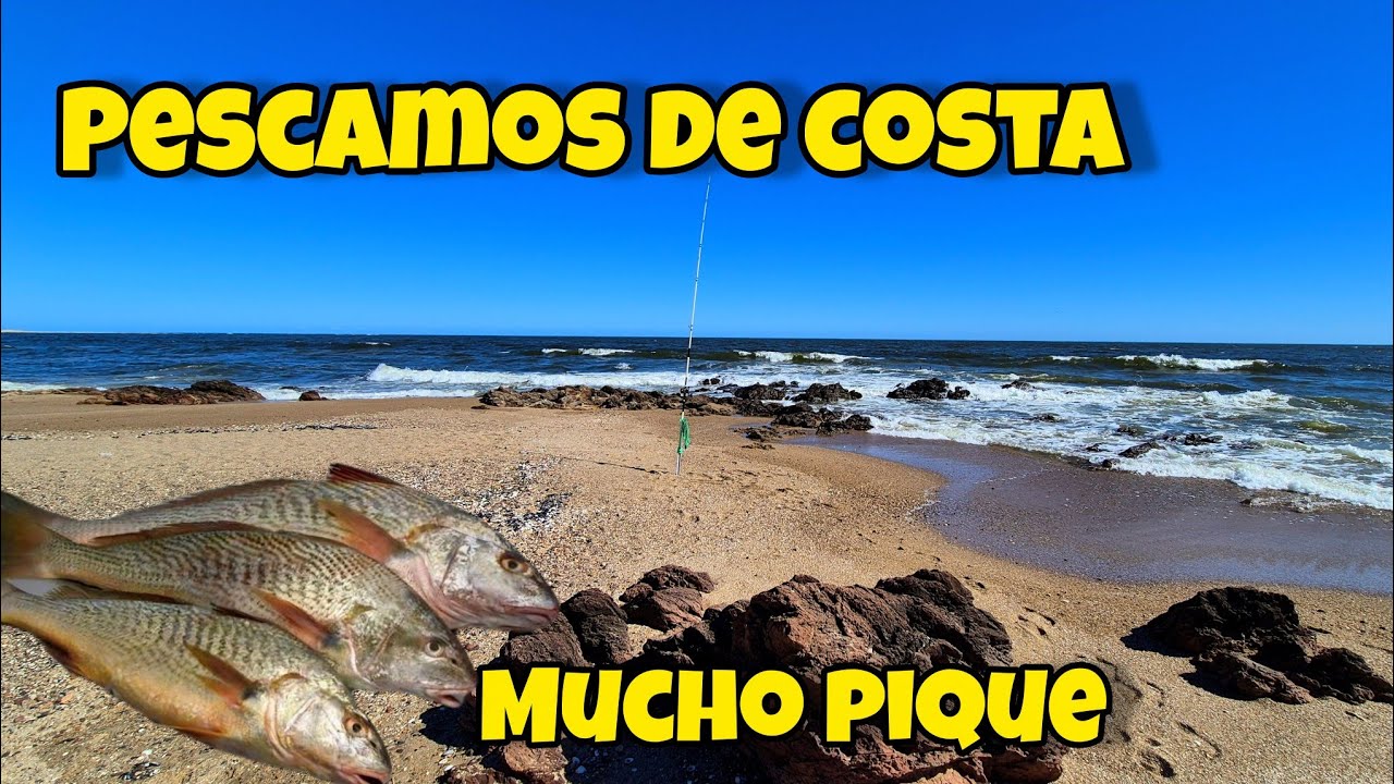 PESCAMOS de COSTA, EMPEZAMOS MAL pero el PESCADO SE BUSCA, PESCA Y ENTRETENIMIENTO