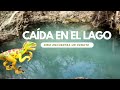 Dino cae en el gran lago azul | Videos de dinosaurios para niños en español