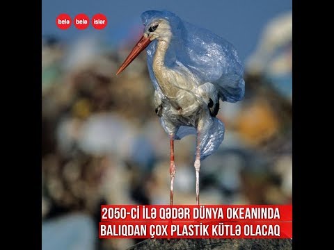 Dünyanı məhvə aparan plastik kütlə