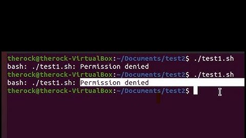 bash  {file} Permission denied SOLVED!