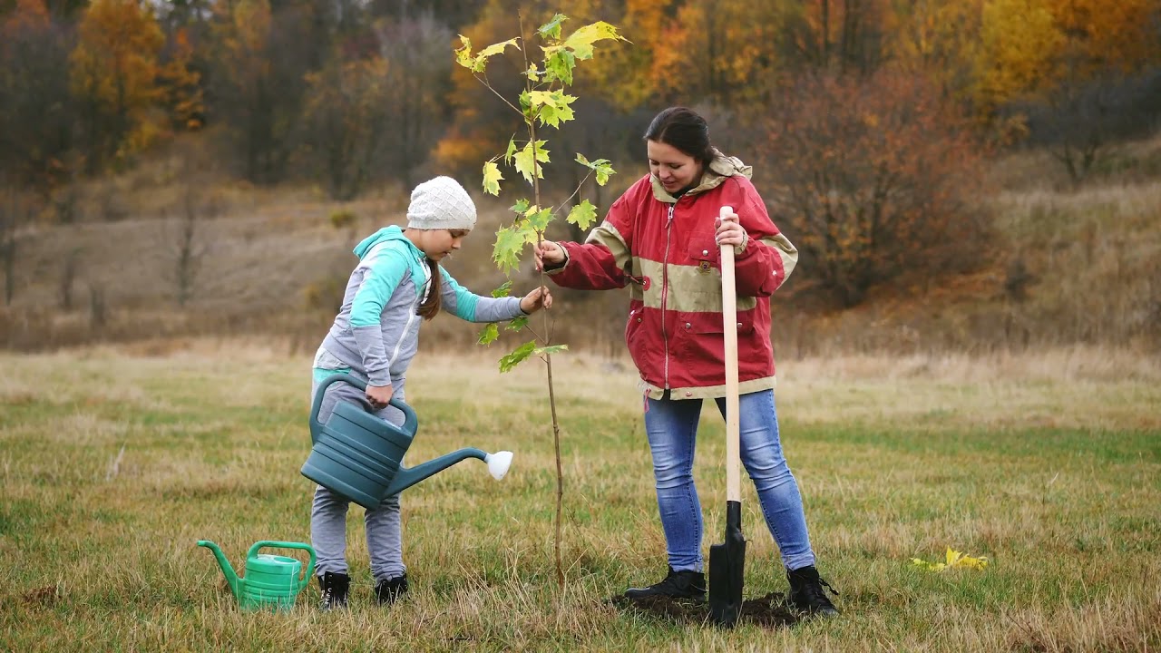 Girl Scout Tree Promise How To Get Started YouTube Girl Scout Tree Promise How To Get Started YouTube