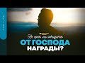 Не грех ли ожидать от Господа награды? | &quot;Библия говорит&quot; | 1696