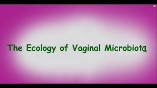 Human Microbiome The Vaginal Microbiota