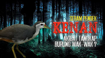 SERAM PENDEK❗KENAN : Akibat Tangkap Burung Wak-wak?