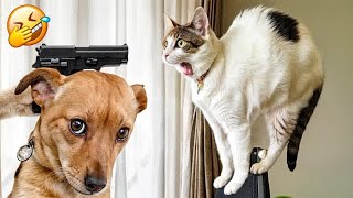 Funniest 2024😍Cats and 🥒 Cucumbers - Awesome Funny Pet Videos 😻🐕‍🦺Part 17
