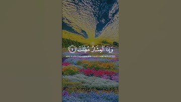 إذا الشمس كورت | تلاوة تهز القلوب للشيخ عبدالباسط عبدالصمد من سورة التكوير