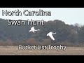 North carolina swan hunt bucket list trophy bird sweet 16 9 tss comp n choke ic