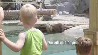 Binhamton NY: Be Part of Our Story Again