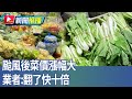 颱風影響