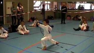 Tang Soo Do, Fabio loopvorm nr 2 Sae Kye Hyung Ee Bu VELO Ryu Ha