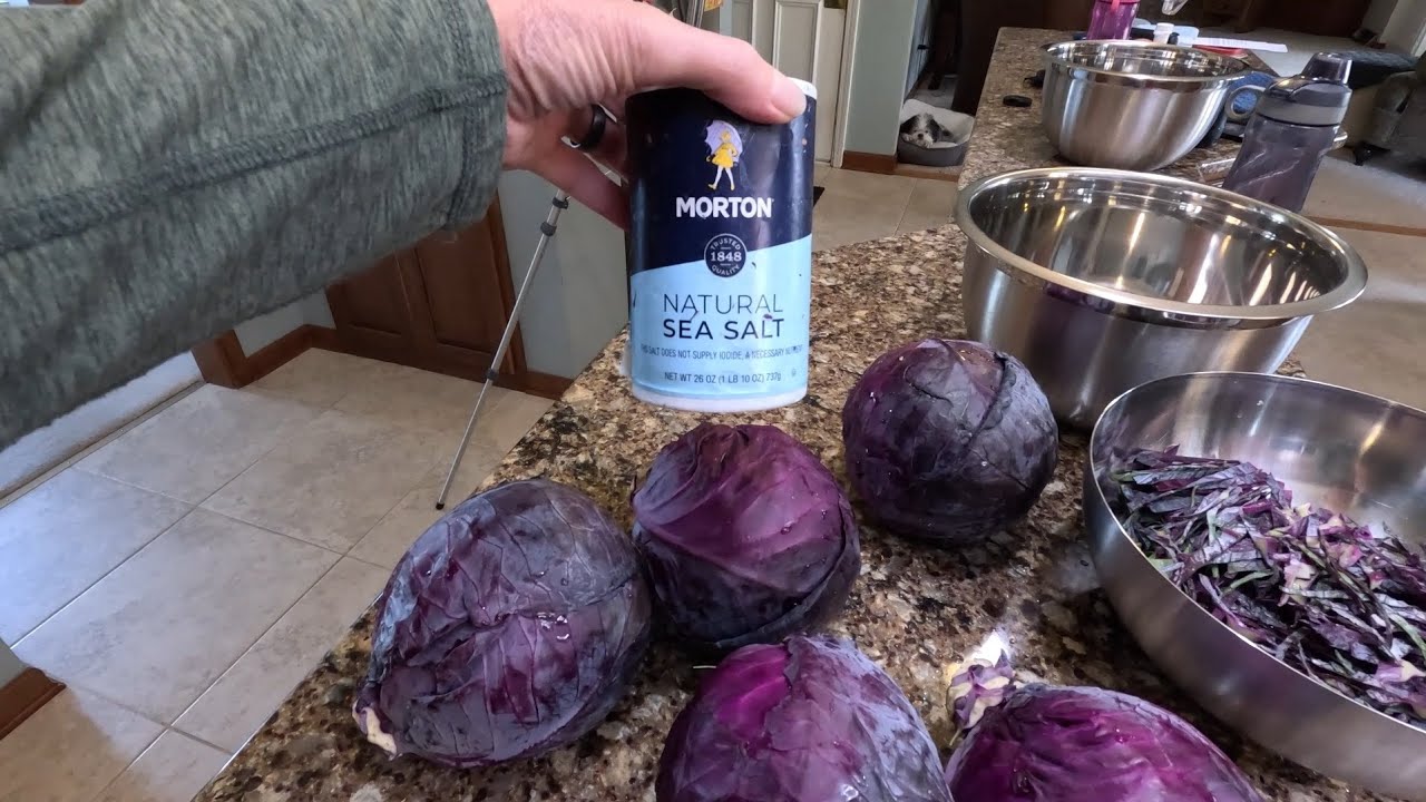 Making purple sauerkraut with a stoneware crock. 
