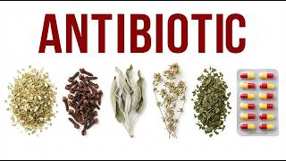 Zo behandelden mensen ziektes vóór de komst van artsen en de moderne geneeskunde.