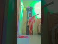 RCB fans right now 😜 # Dance with Bhavya sree