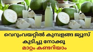 കുമ്പളങ്ങ ജ്യൂസ്‌/ash guard juice/weight loss drink/വെറും വയറ്റിൽ കുമ്പളങ്ങ ജ്യൂസ്‌ കുടിച്ചു നോക്കൂ