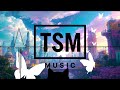Brighter Path　　　TSM music | DancePOP | EDM | No Copyright Music |Workout Music