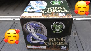 KING COBRA by PYRO DEMON FIREWORKS