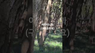 #여자이니까#강문경#트롯트#가요#노래#음악#쇼츠