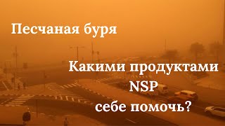 Песчаная буря - апрель 2024 - NSP