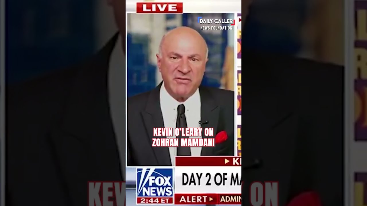 Kevin O Leary Compares Zohran Mamdani S Run For Governor To Kamala Harris DISASTROUS Campaign