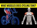 Cycling for Toning: Targeted Muscle Groups and Training Tips