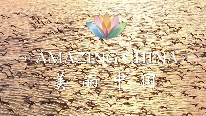 Amazing China: The Perfect Stopover for Migratory Birds | CCTV English - DayDayNews